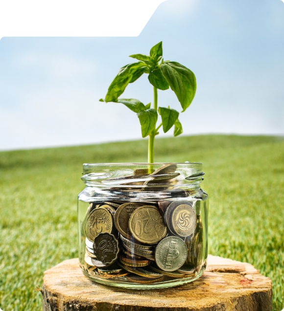 CWI Investments